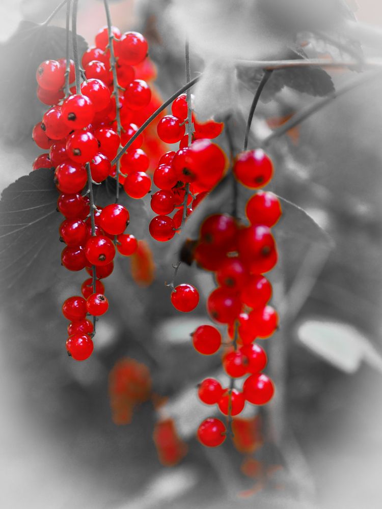 Photograph by Alexander Chernikov
