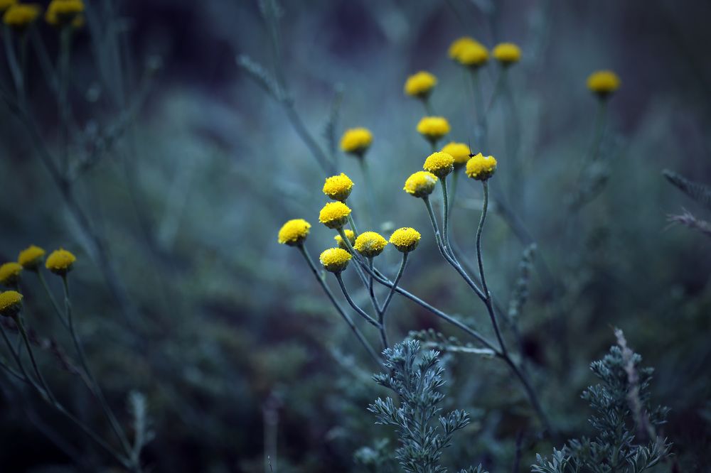 Photograph by Мурат Кужахметов