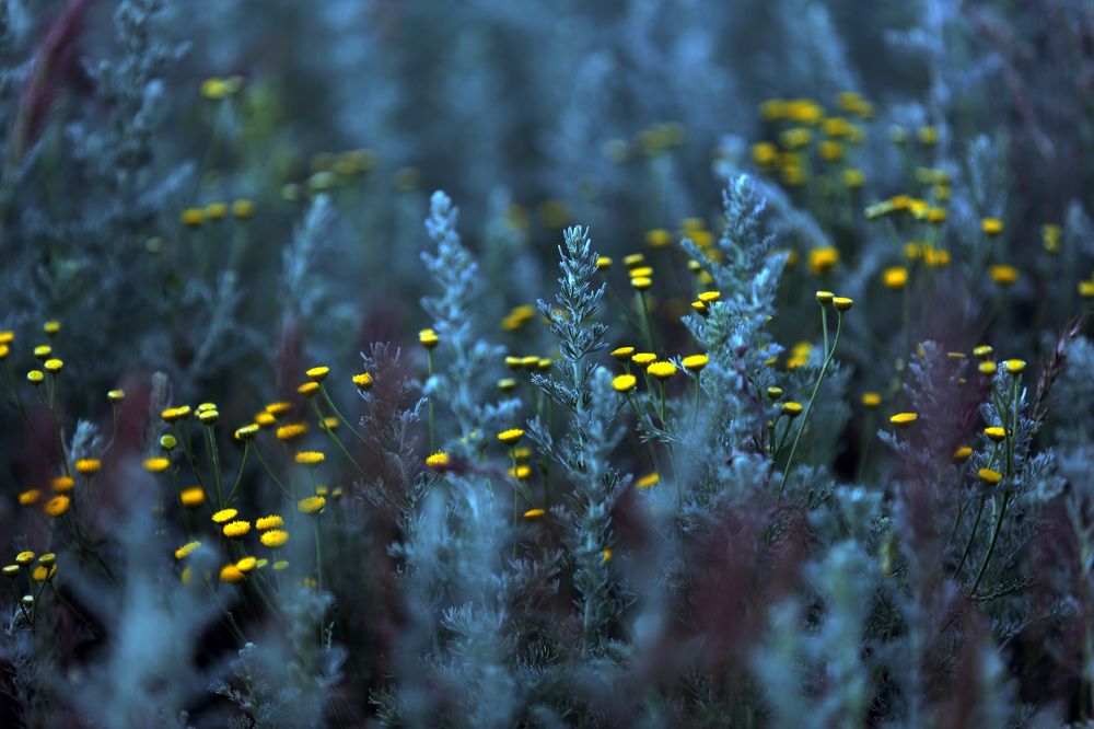 Photograph by Мурат Кужахметов