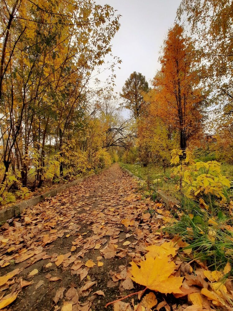 Фотография автора Ольга Кунакова