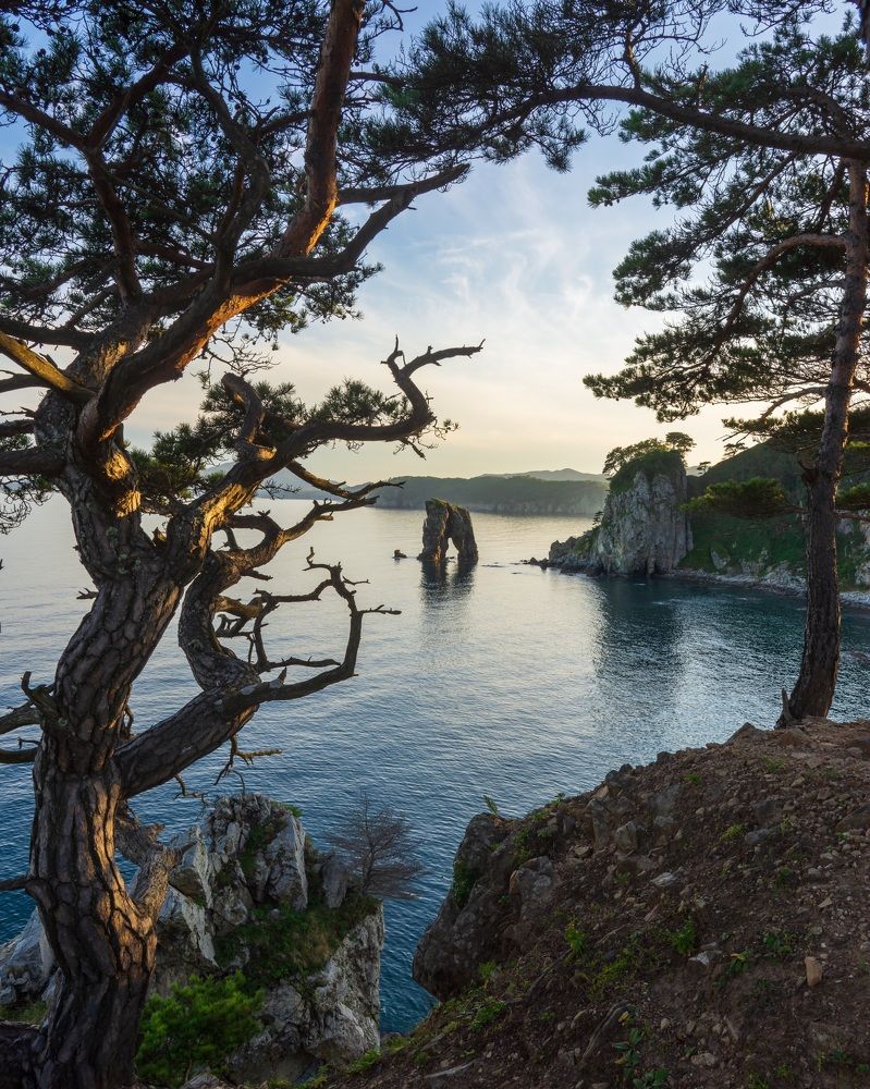Фотография автора Олег Матроницкий