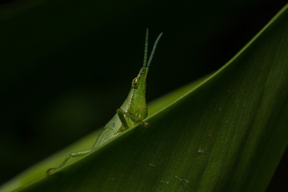 Photograph by Arnab Jana