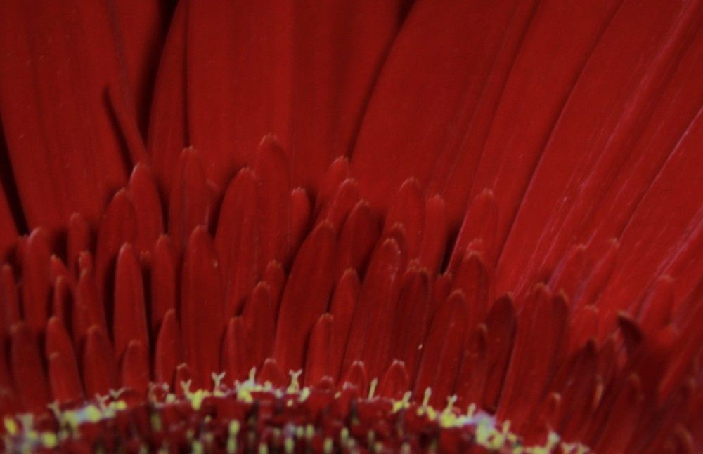 Фотография автора светлана терехова