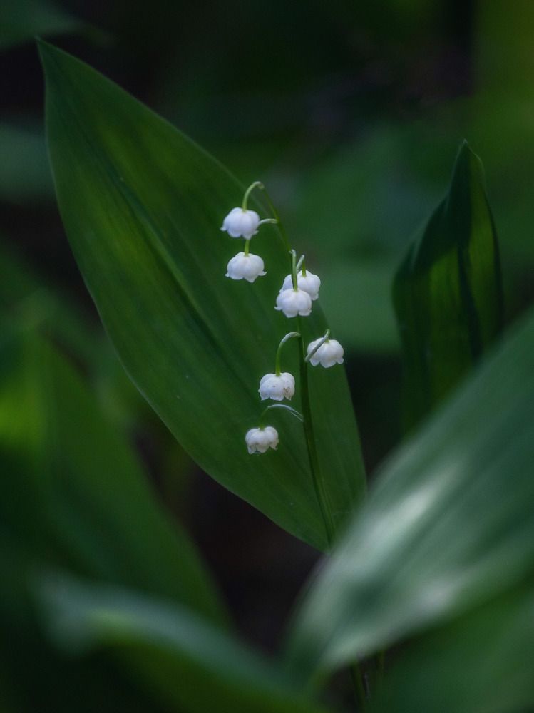 Photograph by Анастасия Глазюк