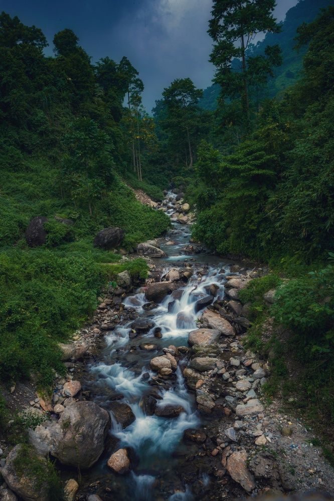 Photograph by Pemba Tshering Tamang