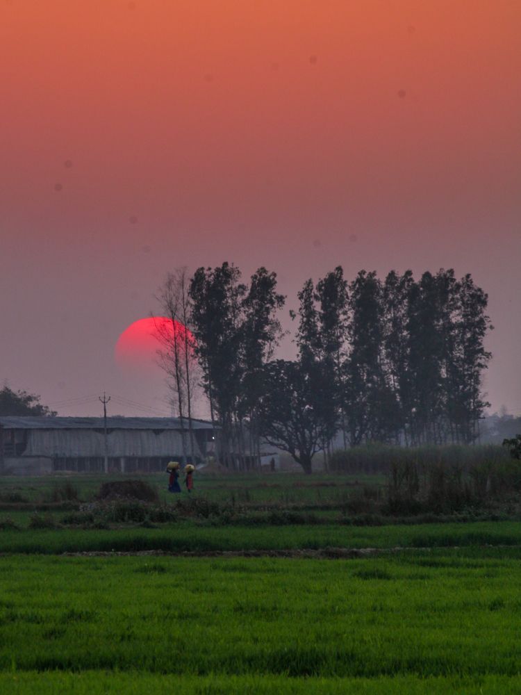 Photograph by Abhinav Yadav