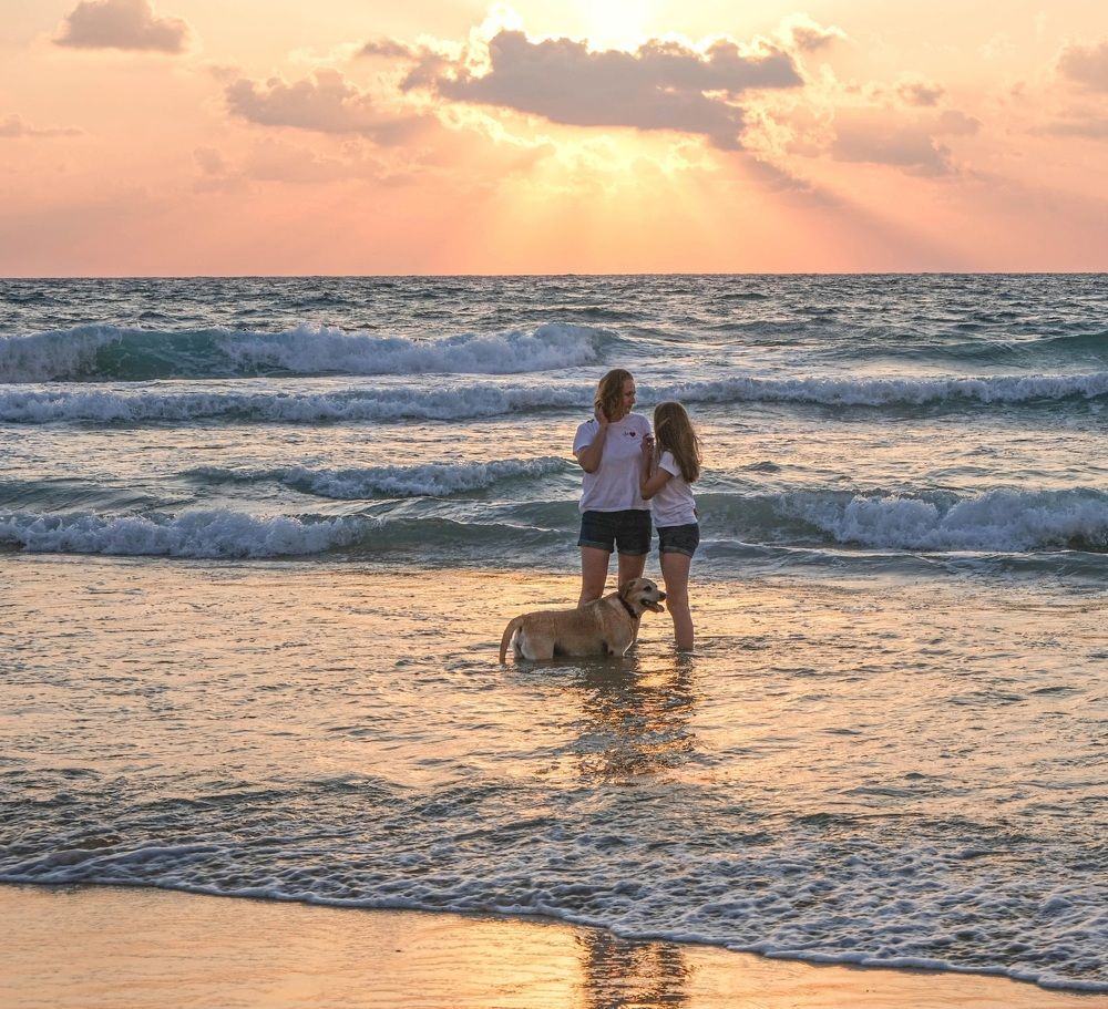 Фотография автора Ольга Забрянская