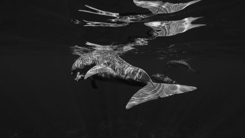 Art of light and reflection