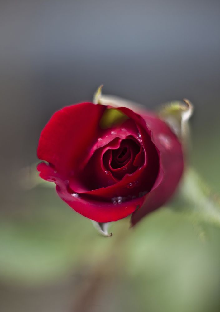 Photograph by Олег Терешкин