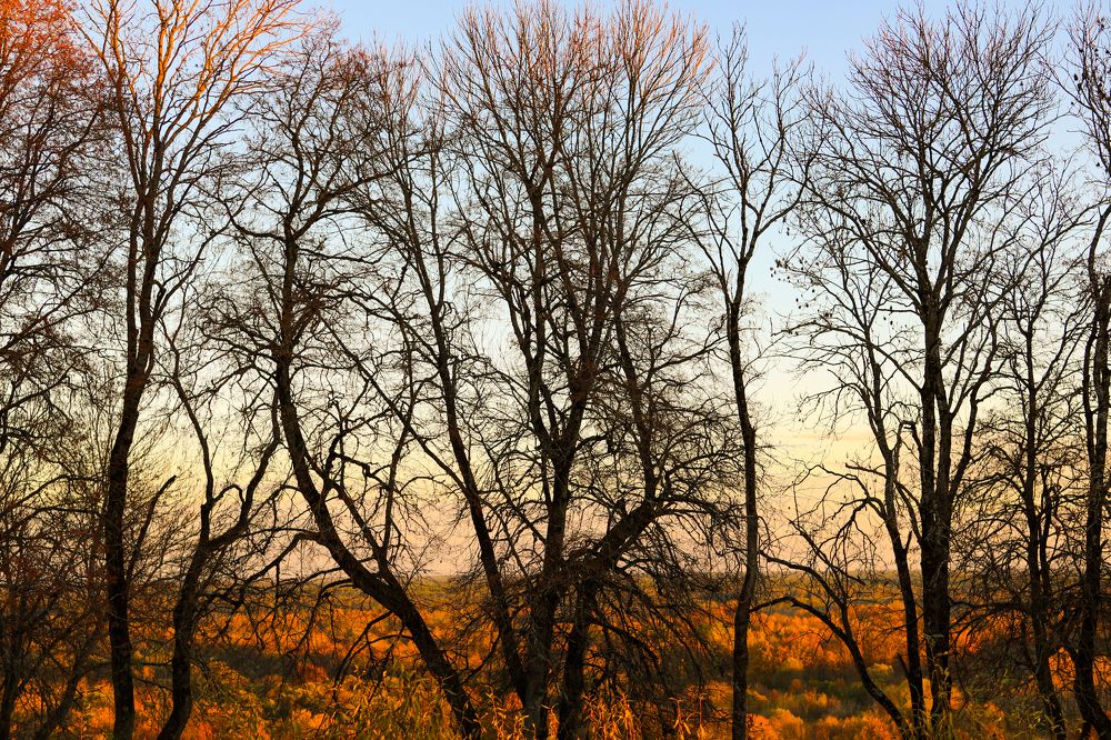 Photograph by Светлана Солдатченкова