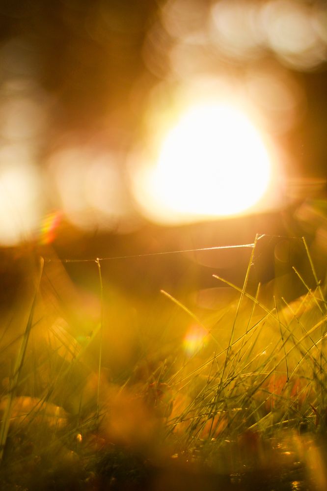 Photograph by Светлана Солдатченкова