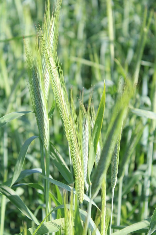 Фотография автора Иван Кириллов