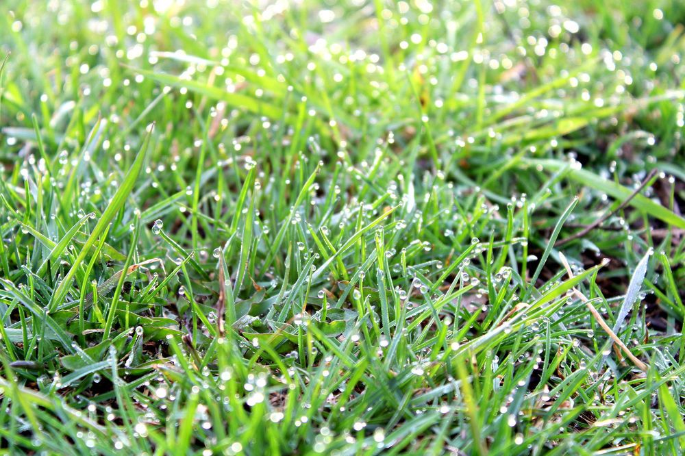 Фотография автора Иван Кириллов