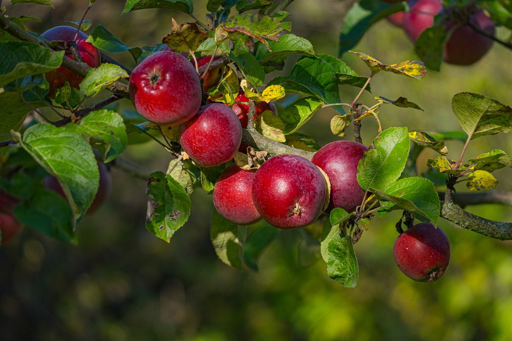 Photograph by Valdis Serzhans