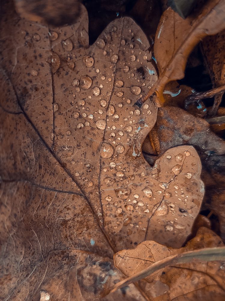 Photograph by Татьяна Белевцова