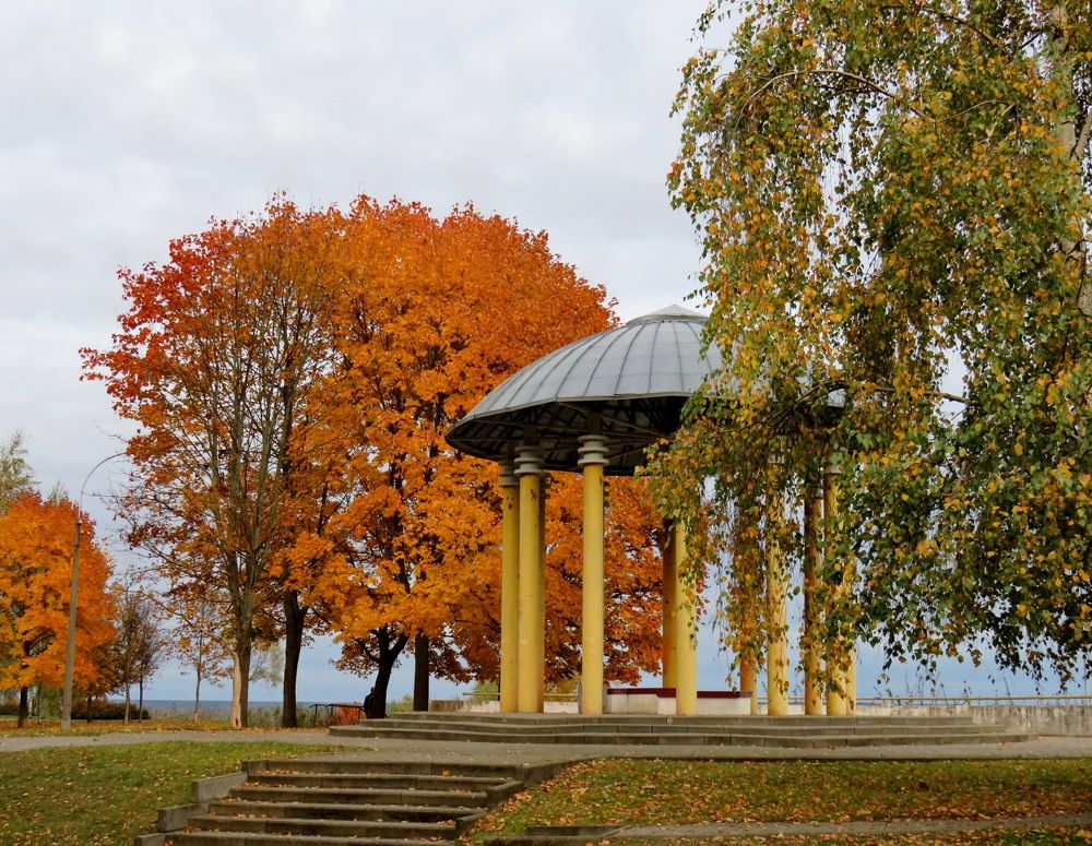 Gazebo and orange maple