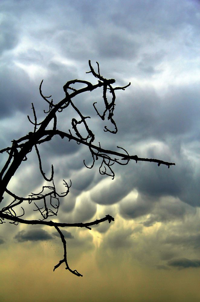 Photograph by Luis Sergio Goncalves