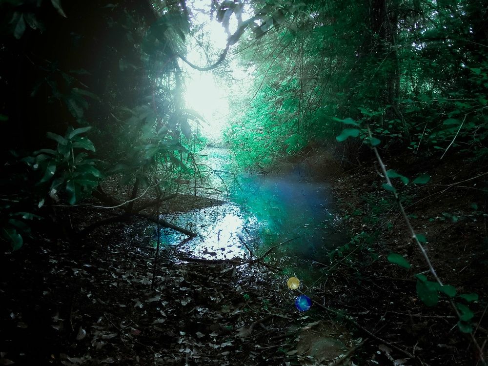 Photo #8173653