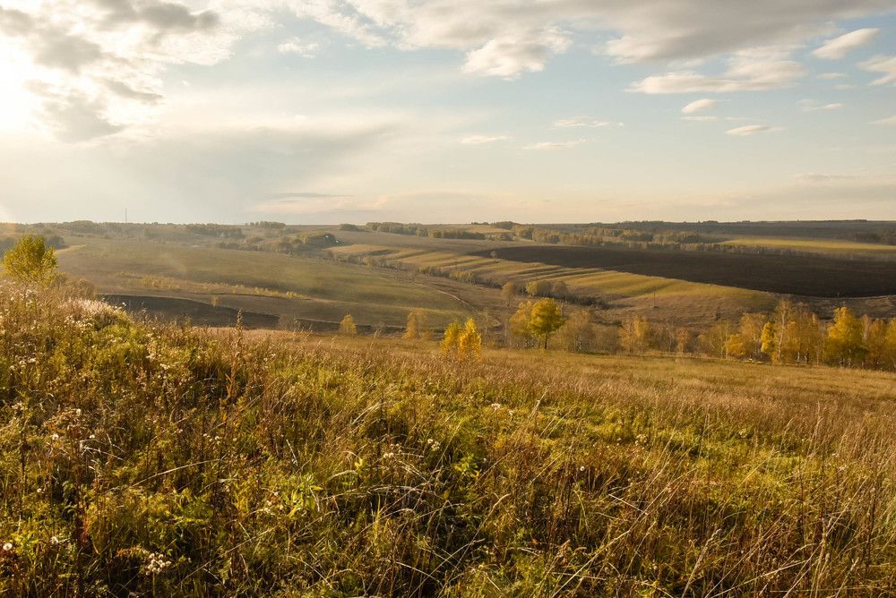 Photograph by Наталья Сорокина