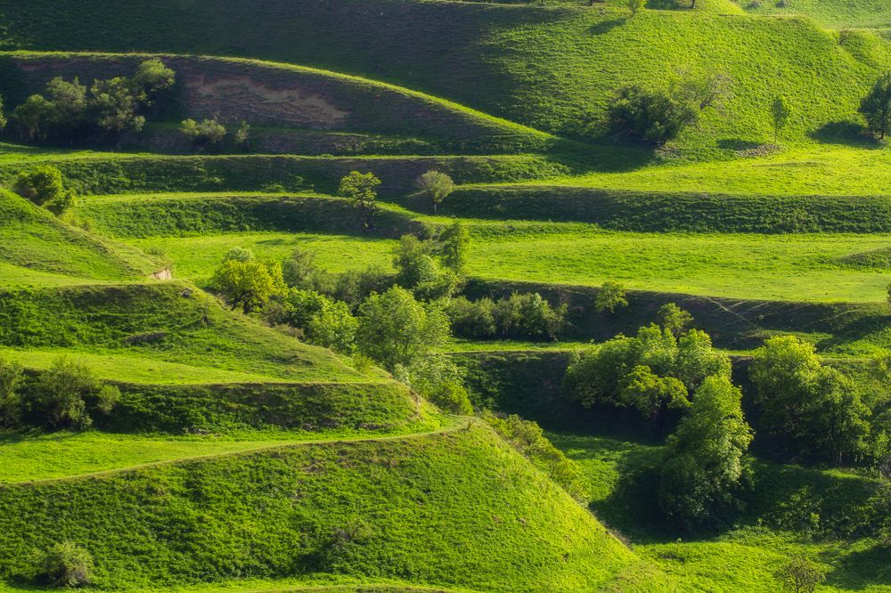 Photograph by Юлия Мальцева