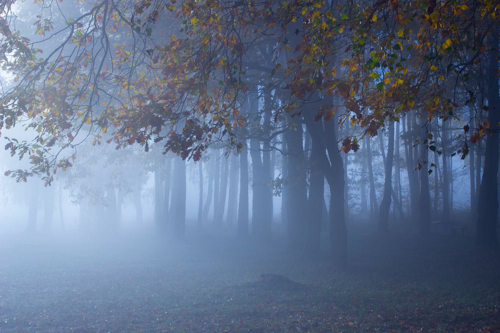 Photograph by Игорь Денисов