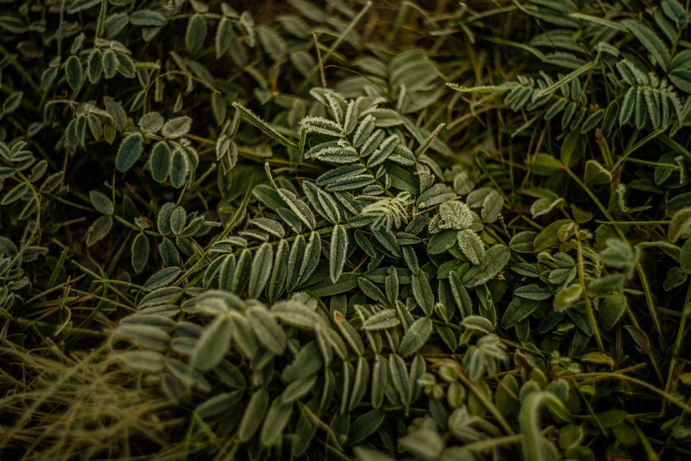 Photograph by Наталья Лещинская