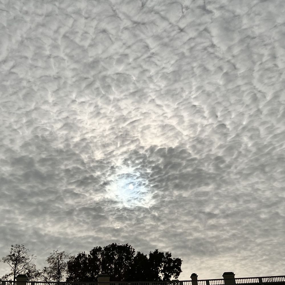 Photograph by Анна Шанёва