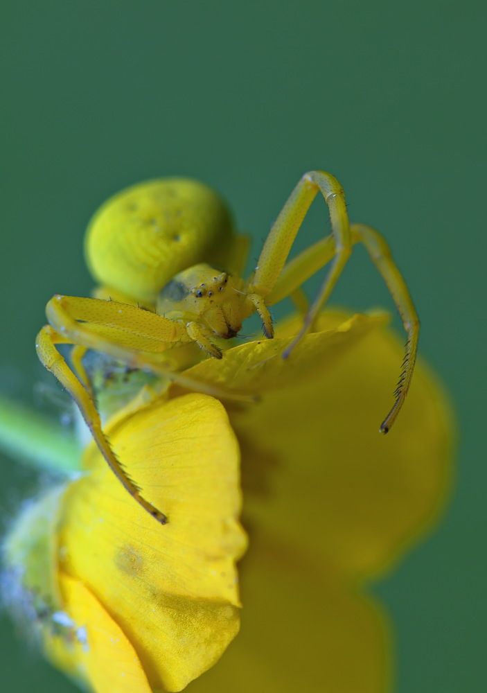 Photograph by Анатолий Васильев