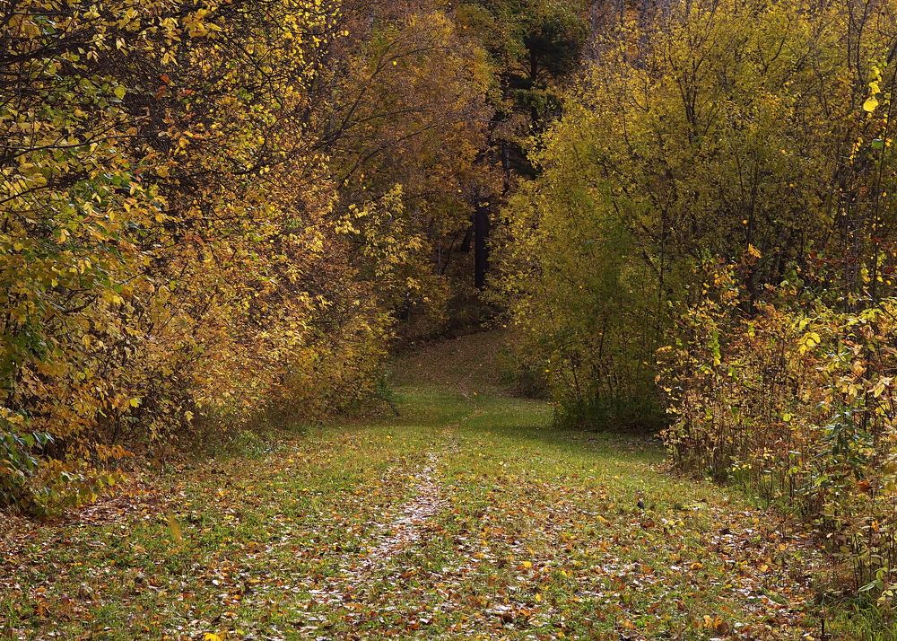 Photograph by Анатолий Васильев