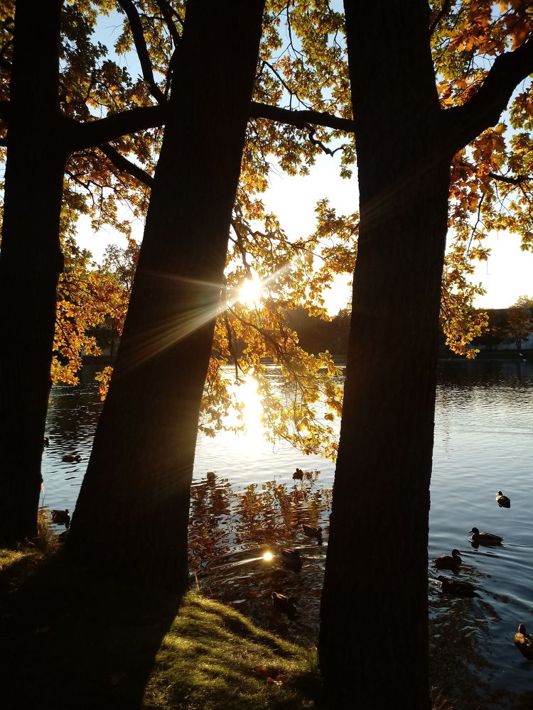 Photograph by Марина Алёшина