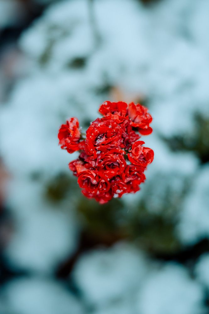 Photograph by Регина