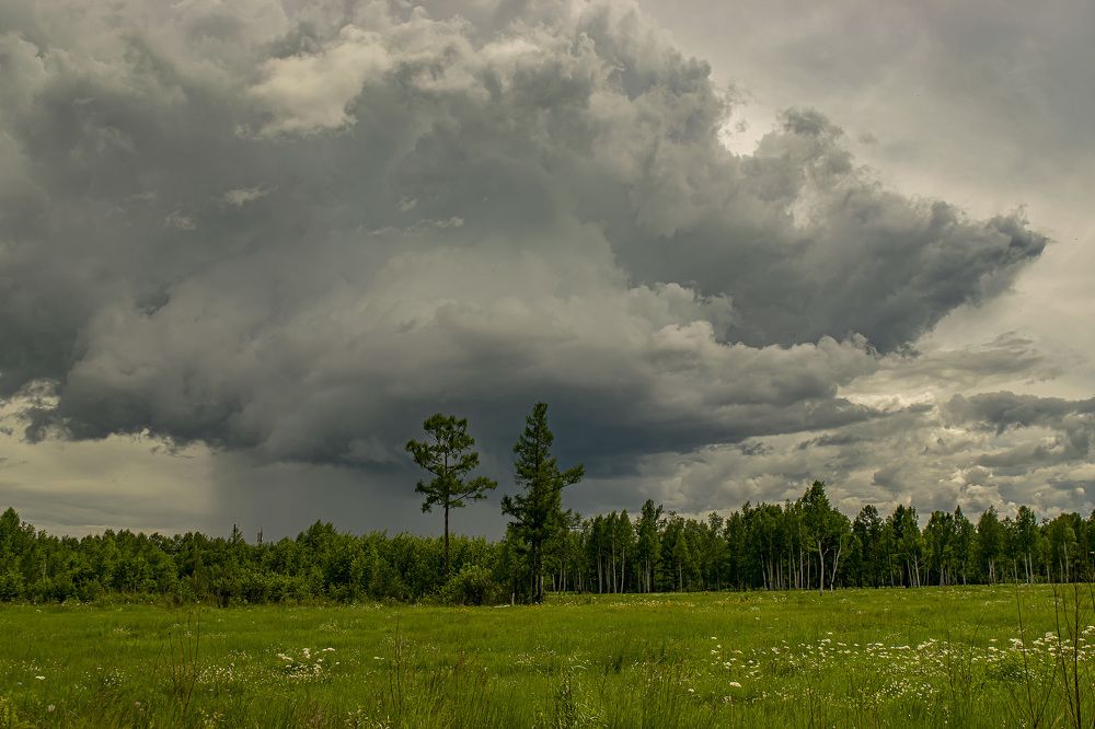 Photograph by Блохина Ольга