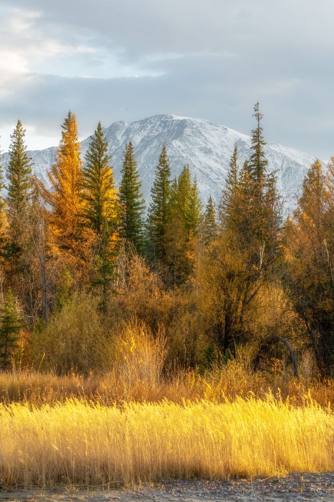 Photograph by Руслан Нигматуллин