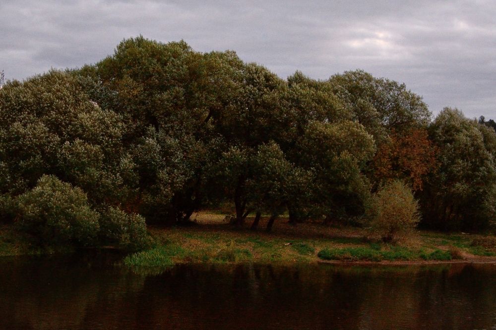 Photograph by Nikolay Soldatenkov