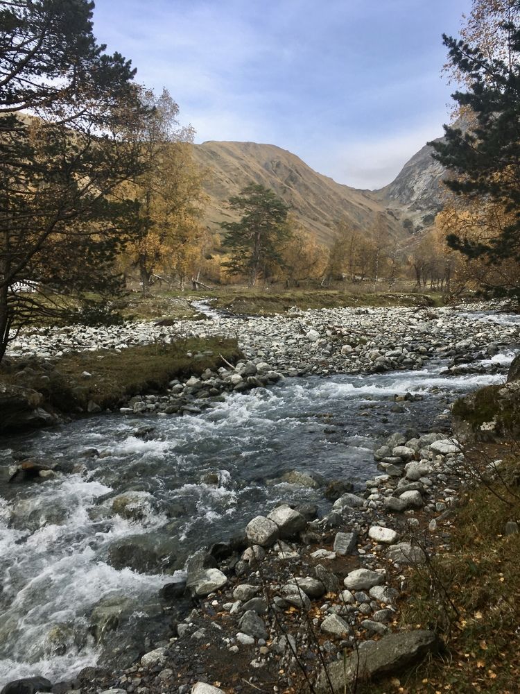 Фотография автора Ксения