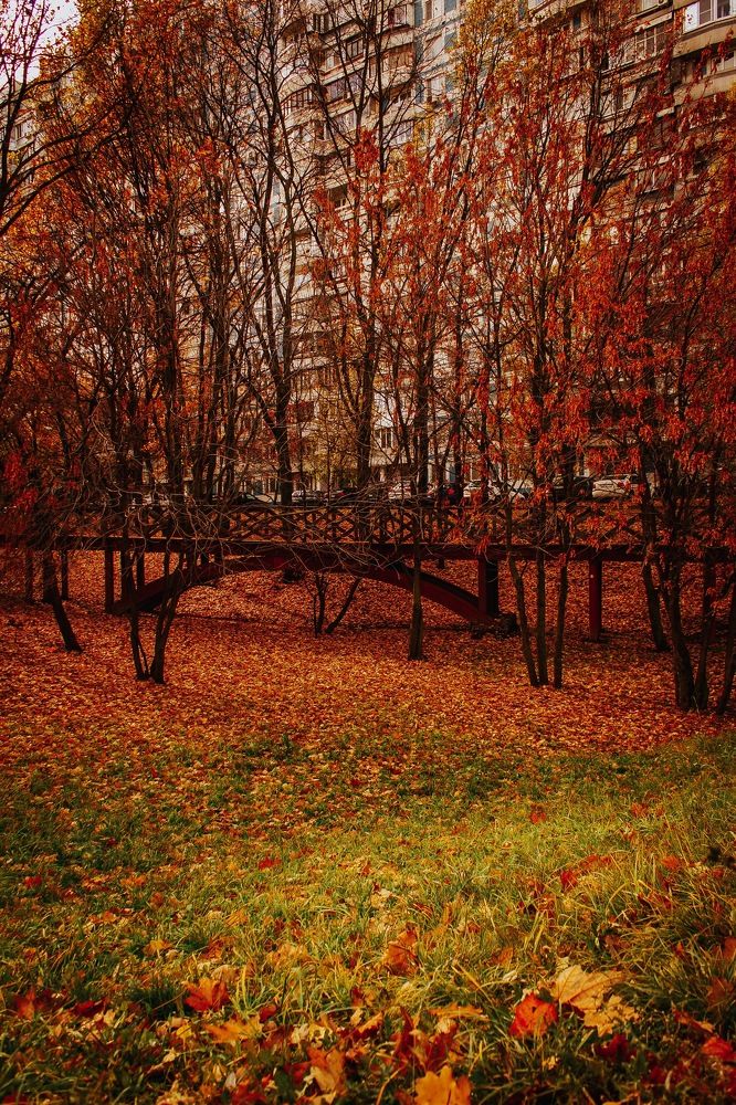 Photograph by Сергей Бойко