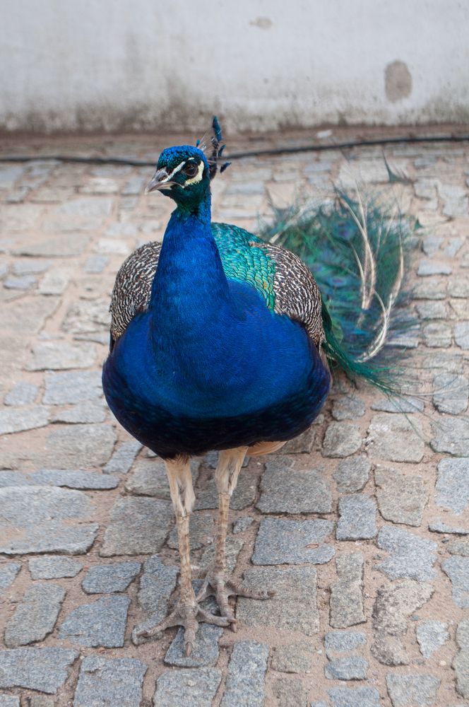 Photograph by Анастасия