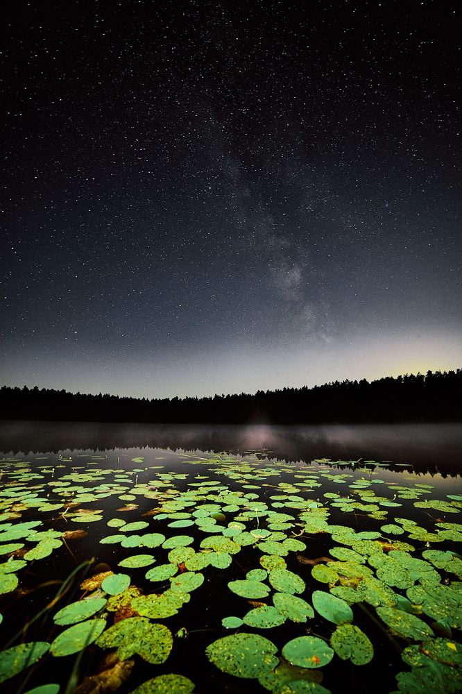 Photograph by Александр Фанковин