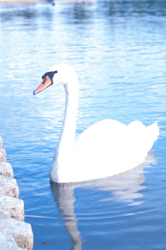 Photograph by Анастасия