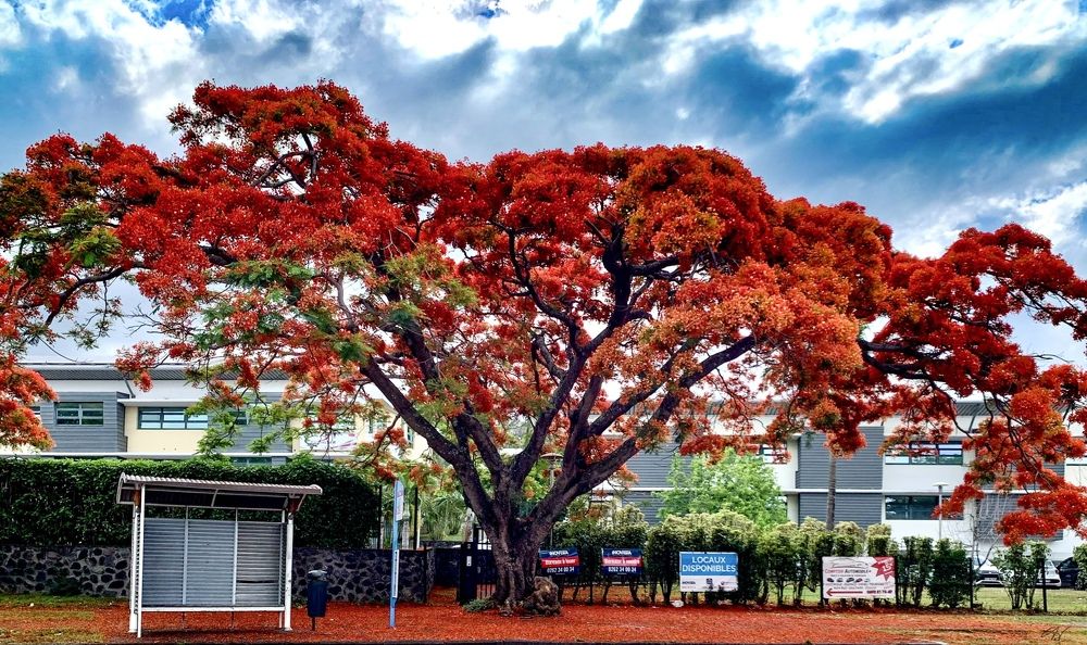 Photograph by Christine ECHEVET-ADAM de VILLIERS