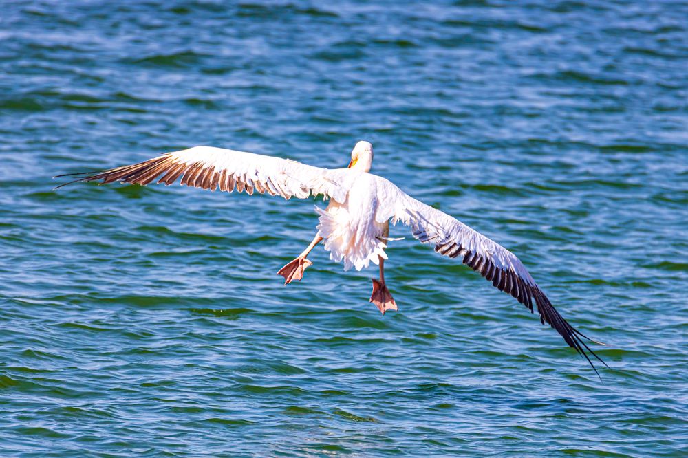 Photograph by KFIR HANUNOV