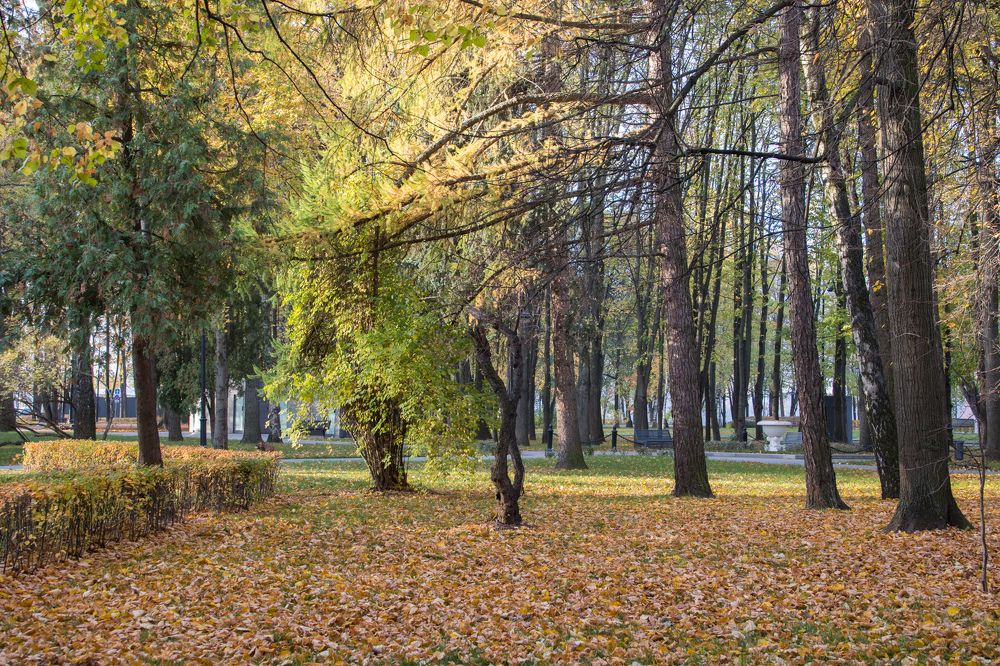 Фотография автора Алексей Корнеев