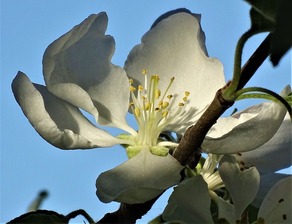 Photograph by Николай Худяков