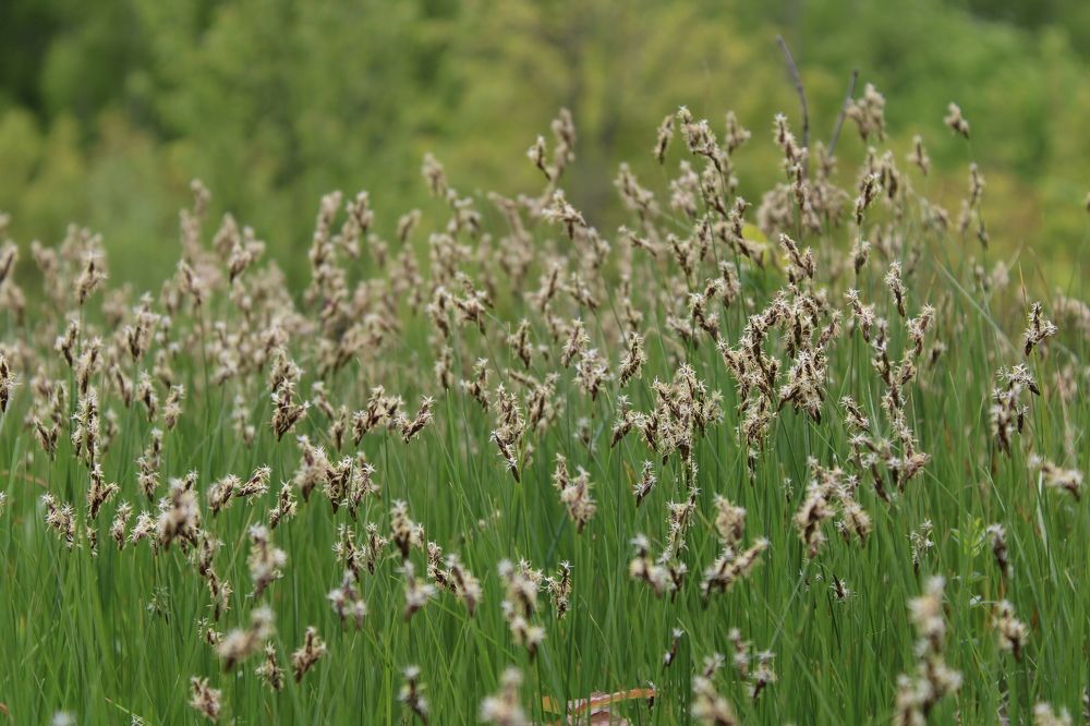 Фотография автора Иван Кириллов