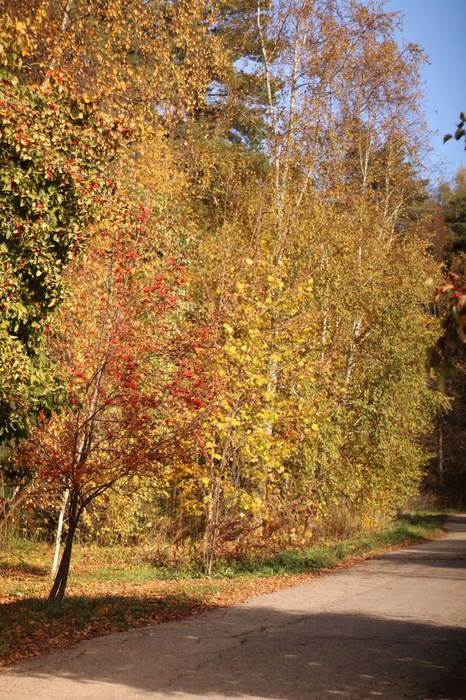 Photograph by Анастасия Липаткина