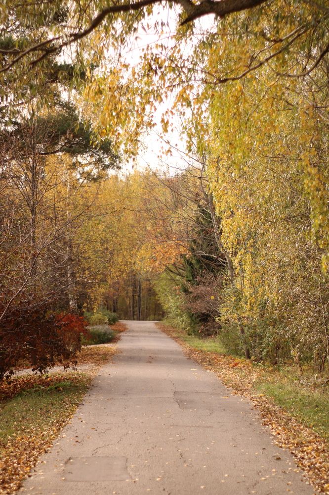 Photograph by Анастасия Липаткина