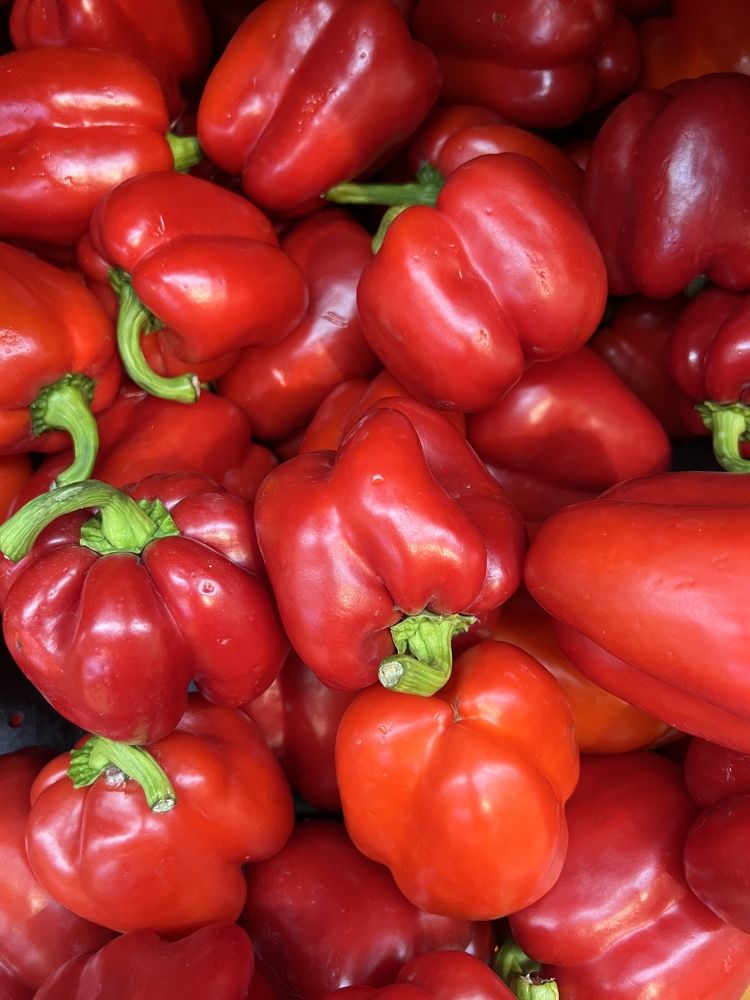 Photograph by Индира Кузнецова