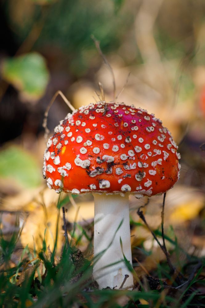 Photograph by Дмитрий Тимин