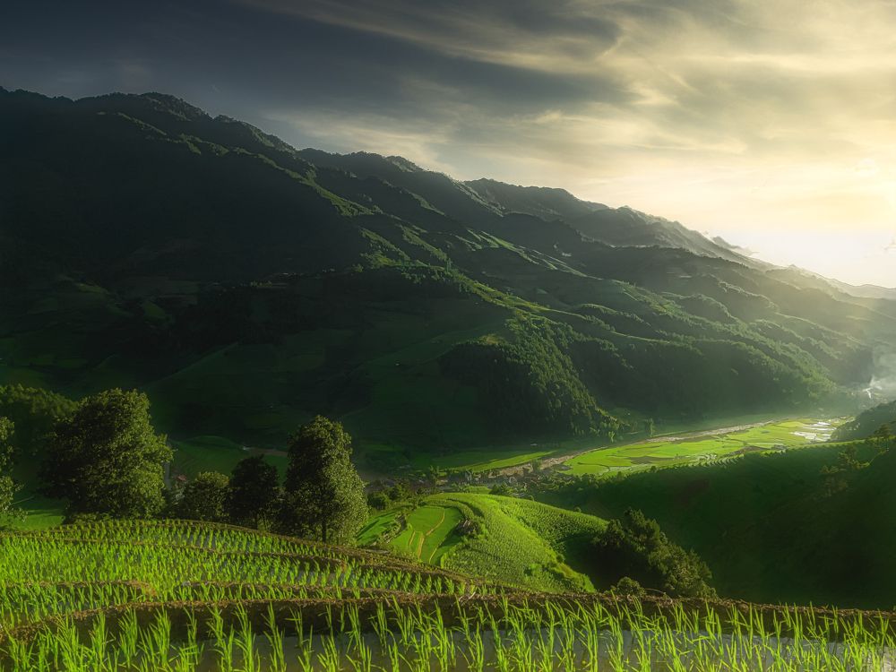 Photograph by Kevin Nguyen