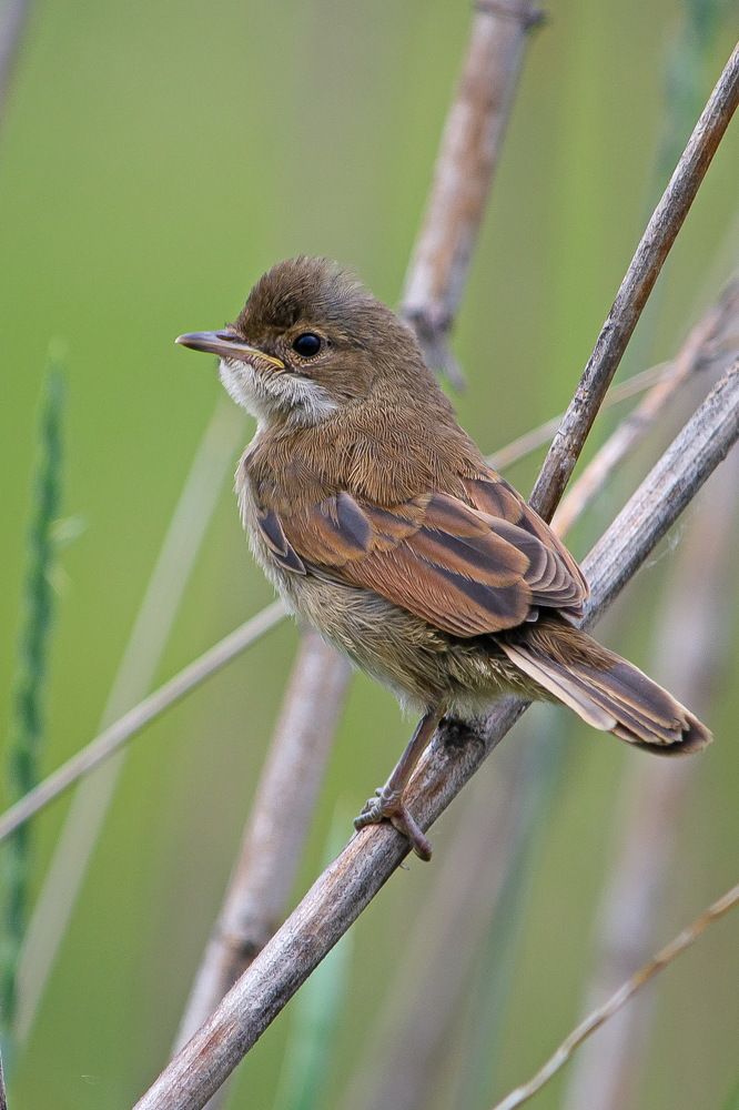 Photograph by Оксана Маховская